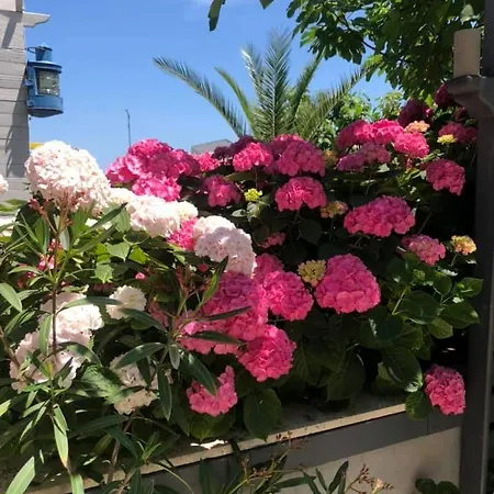 St Anna בית הארחה 3*