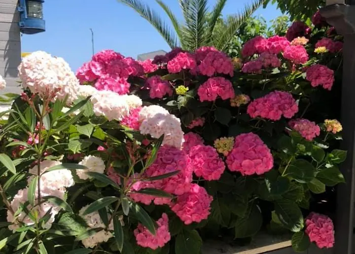 St Anna Къща за гости 3*